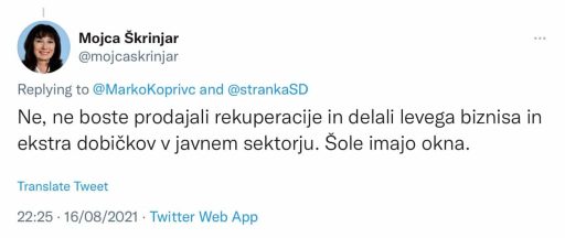 mojca skrinjar rekuperacija