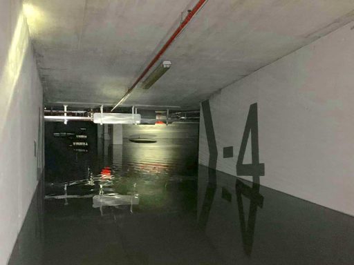 poplave