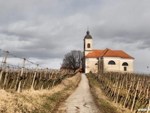 cerkev in cerkveni davek