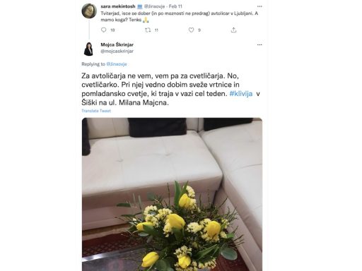 mojca skrinjar sds