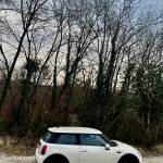 mini one d 1