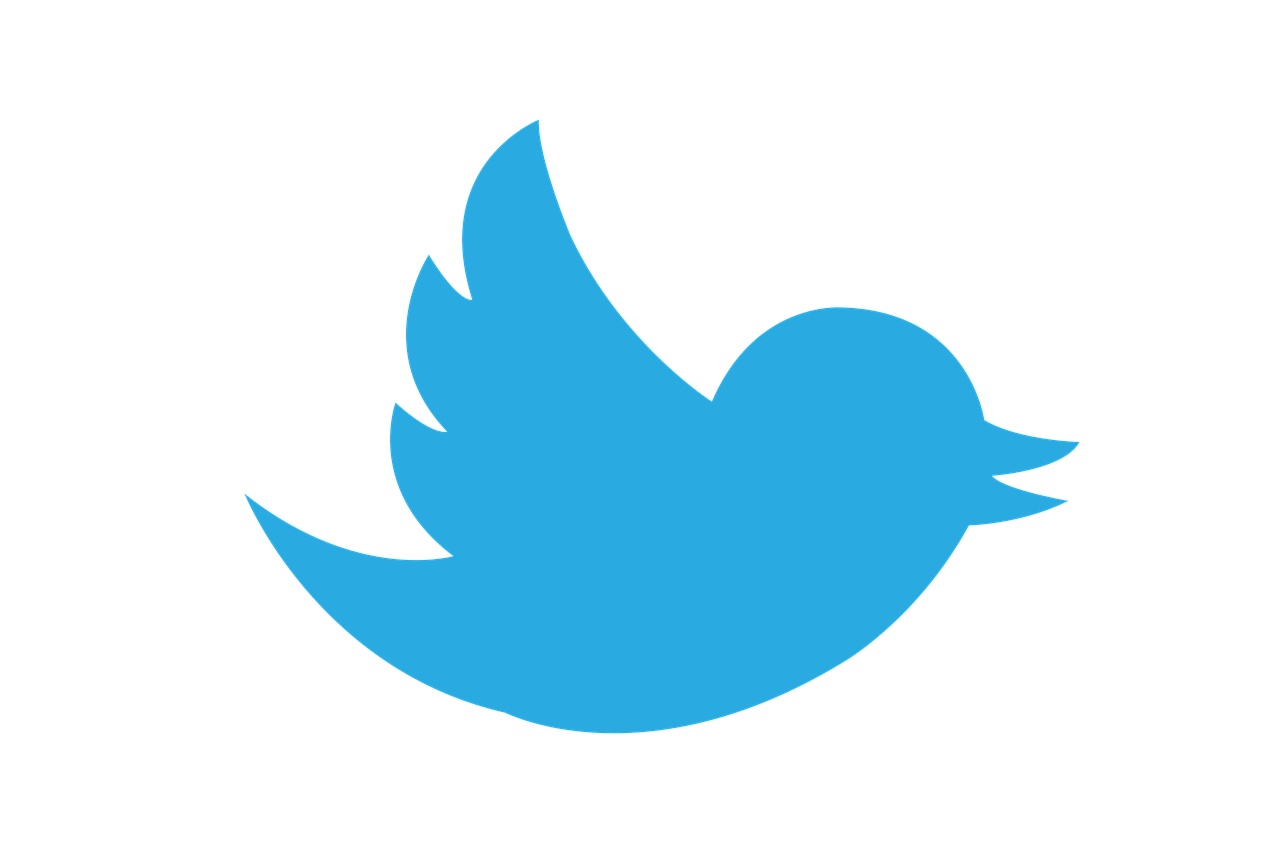 twitter logo elon musk