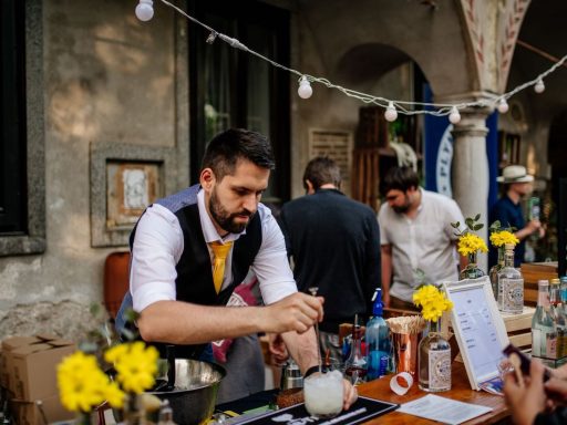 Brina festival dzina