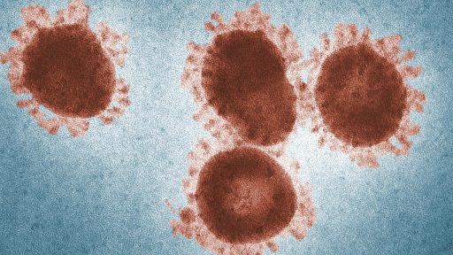 virus opicje koze