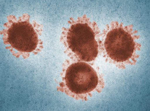 virus opicje koze