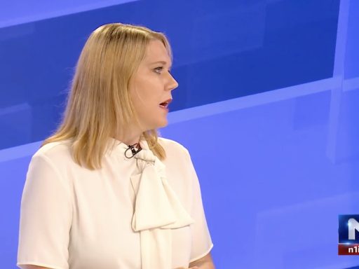 nina krajnik singularnost