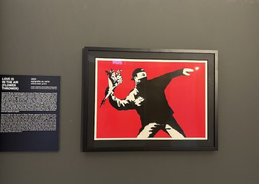 Banksy prints exhibition 7