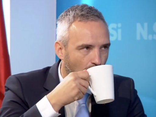 janez cigler kralj