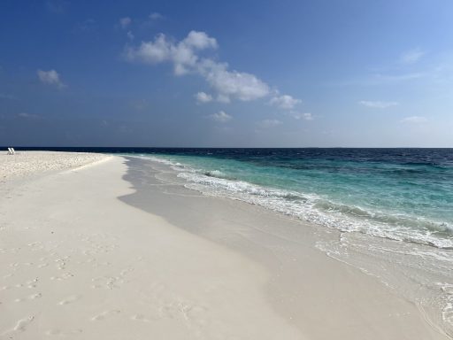 Fihalhohi Island Resort Maldives 3
