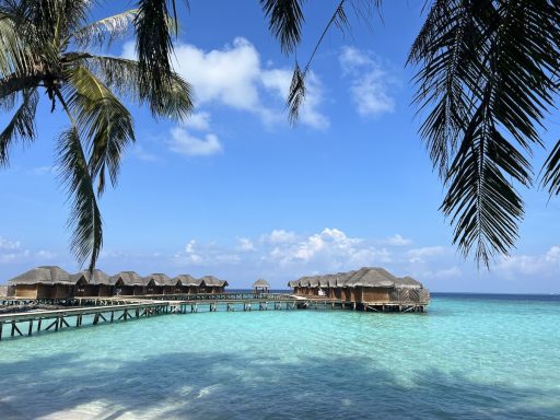 Fihalhohi Island Resort Maldives 4