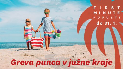 Greva punca po