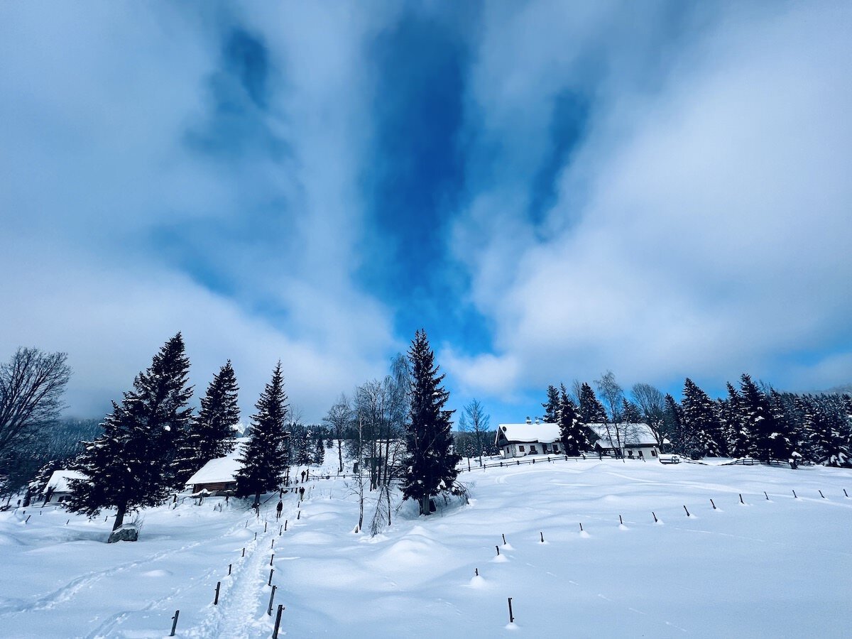 pot pokljuka rudno polje uskovnica 14