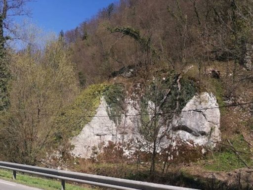 okameneli svatje
