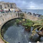 Otok Ortigia Siracusa 15