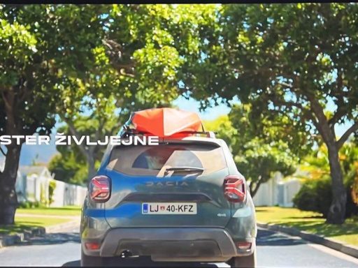 dacia zivjejne