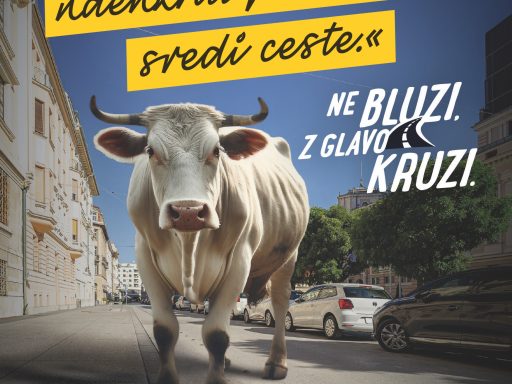 NeBluzi Krava