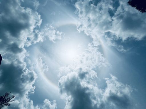 soncni halo