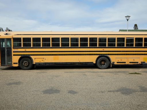 avtobus