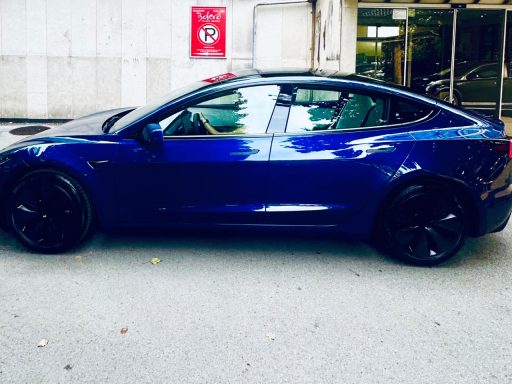 tesla msblue