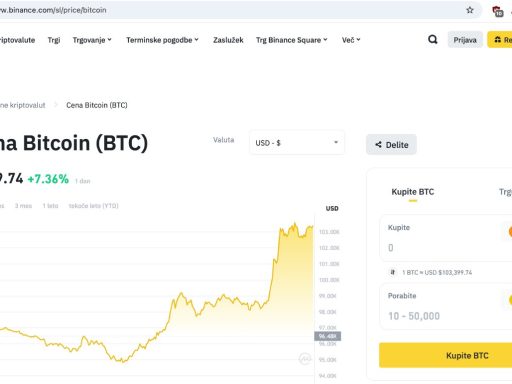 btc 100000 usd