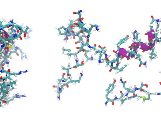 peptide