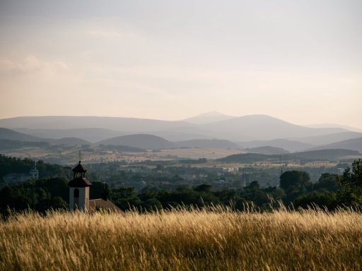 cerkev