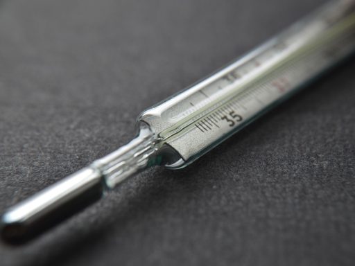 termometer