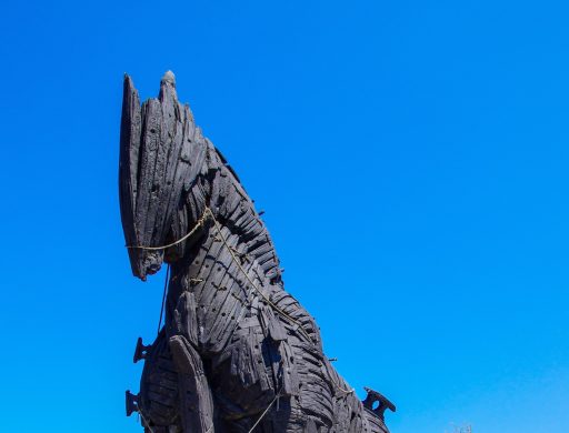anze logar
