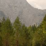 Fotopis Okreselj 3