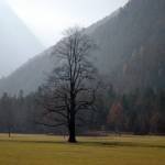 Logarska dolina 9