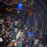 Ambasada Gavioli revival 5