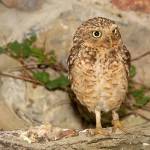 Fotopis Zoo Zagreb 1