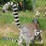 Fotopis Zoo Zagreb 3