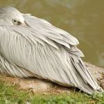 Fotopis Zoo Zagreb 4