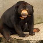 Fotopis Zoo Zagreb 6