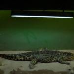 Fotopis Zoo Zagreb 9