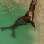 Fotopis Zoo Zagreb 13