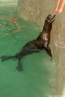 dsc_0167.jpg