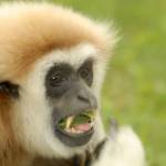 Fotopis Zoo Zagreb 15