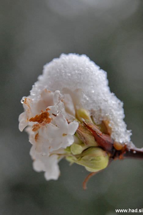 let-it-snow-03.jpg