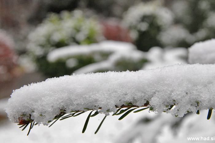 let-it-snow-05.jpg