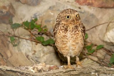 zoo-zagreb-01.jpg