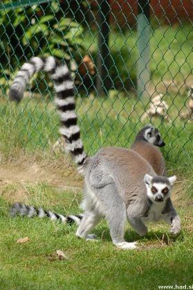 zoo-zagreb-03.jpg
