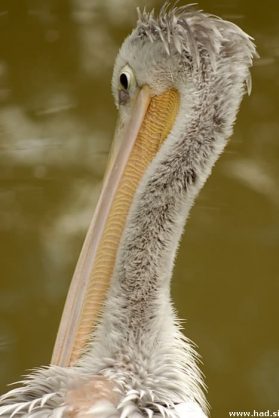 zoo-zagreb-05.jpg