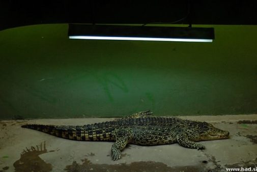 zoo-zagreb-09.jpg