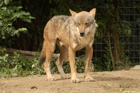 zoo-zagreb-14.jpg