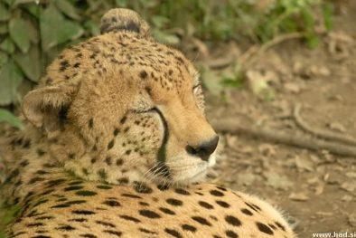 zoo-zagreb-16.jpg