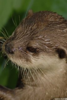 zoo-zagreb-25.jpg