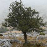 Park prirode Biokovo in Sv. Jure - 1762 nm - nad Makarsko 2