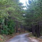 Park prirode Biokovo in Sv. Jure - 1762 nm - nad Makarsko 20